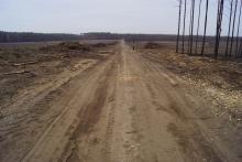 Die gerodeten Waldbrandflächen bei Klausdurf in Brandenburg 1. Bild: Pierre Ibisch