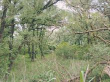 Blick in die Vollhöfner Weiden, JanaBallenthien_ROBINWOOD