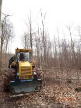 FFH-Tautenburger Forst 02.04.2018