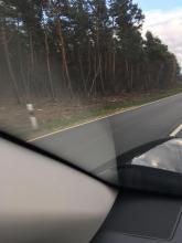 Vom Auto auf B 61 Richtung Uchte fotografiert.