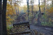 nahe Ettersburg - Großer Ettersberg