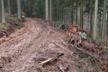 Massive Bodenschäden