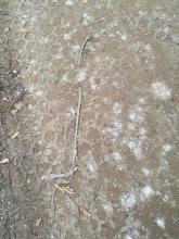 Plastikbestandteile im Schotter