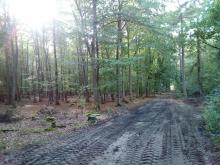 selbe Stelle 2019 wie im nächsten Bild