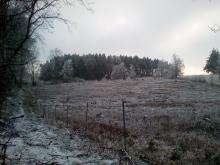 Kahlschlag unterhalb Wichmannsdorf