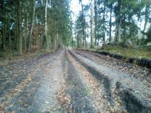 östlich vom Bahnübergang