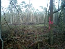 andere Seite Bahnübergang