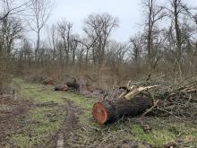 Bilder der Zerstörung