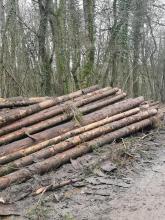 Dafür fährt man sich den Wald kaputt