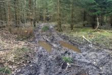 Es sind tiefe Fahrspuren zu sehen