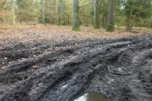 Deutliche Fahrspuren auf dem Waldweg