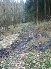 Weg des Harvesters duch die Kühlung