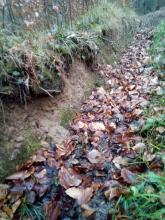 Waldweg nach Harvesterbefahrung in der Kühlung