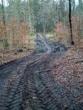 zerfahrener Waldweg Questiner Forst