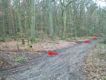 Eingänge Rückegassen Questiner Forst