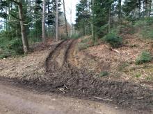 Wie tief sich die Fahrzeuge in den Waldboden graben ist unverkennbar