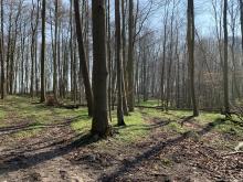 2 Waldarbeit im Naturschutzgebiet - © Loof_93 // 2019