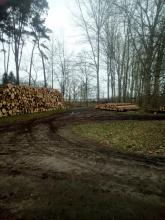 Traktor am Kahlschlag bei Roggow