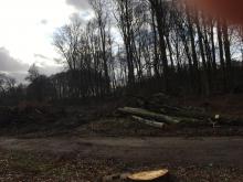 Das Bild spricht für sich