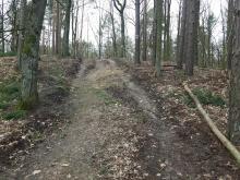 aufgerissener Waldweg 3