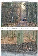 Viernheimer Staatswald Natura 2000 VSG