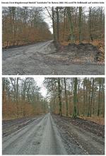Viernheimer Staatswald Natura 2000 VSG u. FFH rechts