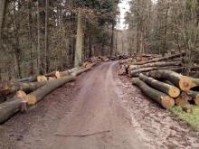 2020, Lautzkirchen Nähe Tennisplatz