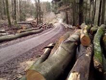 2020, Lautzkirchen Nähe Tennisplatz