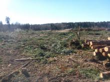 leider geht die Fläche nicht auf ein Bild