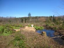 selbst die Waldarbeiter scheint das zu treffen