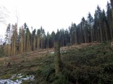 ©_ORMUZ_ 28.02.2020