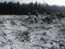 Kahlschlag, die Stämme liegen noch überall verteilt