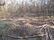 04_ Birgit Rac, 2020, Eselsforth