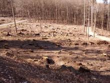 rechts von der Straße eine kahle Fläche