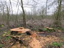 01_20_T.02.B Wörlitz, B. Rac 2020