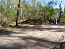 Foto selbst, Staatswald Mörfeldung-Gräfenhausen