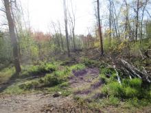 3_Z-Friedhof B. Rac 2020