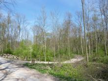 Auch hier sind die Schirmschläge zu sehen. Desweiteren sind die Fahrspuren der Waldmaschinen deutlich zu sehen. © Florian Voss 2020