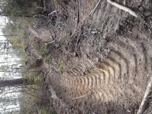 Tiefe Furchen und Fahrrinnen