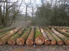 02_Vock. 2, B. Rac 27.02.20