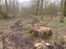 03_Vock. 2, B. Rac 27.02.20