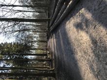 Vorwerksbusch, 21465 Reinbek