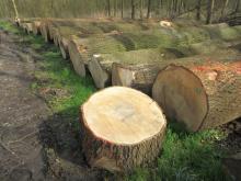 W-C., Coswiger A. 01 B. Rac