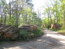 Rößling Süd 5 B. Rac