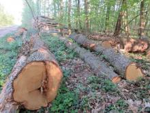 Rößling Nord 04 B. Rac