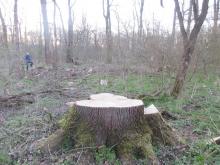 04_ Rosenw., O-Seite, C