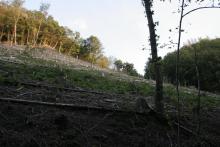 der Hang ist deutlich steiler als das Foto vermittelt....