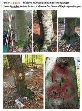 4.11.2020 Schäden Mountainbike Trail 3