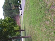 Flächige Abholzung, vermutlich aus Verkehrsicherungsgründen (1).