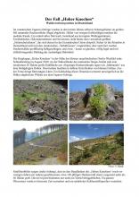 pdf mit Hintergrundinformationen von Norbert Panek zu dem Thema 1